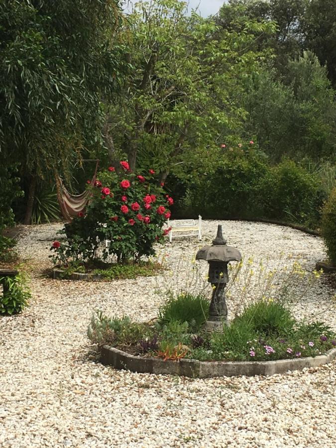 Finca El Rio,, La Casita One Of 2 Self Catering Studios. Pool And Hydrotherapy Jacuzzi Màlaga Exteriér fotografie