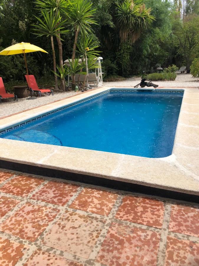 Finca El Rio,, La Casita One Of 2 Self Catering Studios. Pool And Hydrotherapy Jacuzzi Màlaga Exteriér fotografie