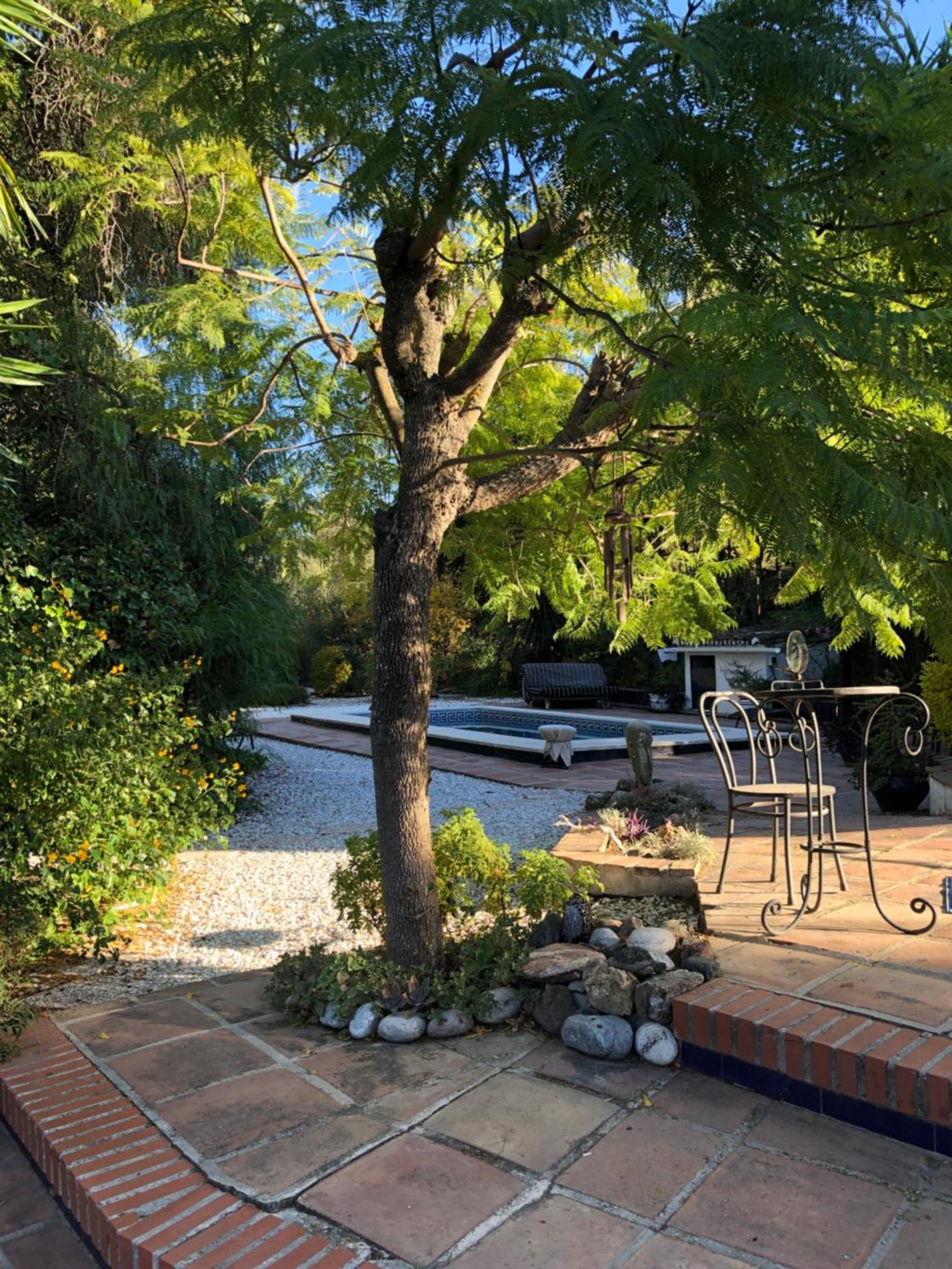 Finca El Rio,, La Casita One Of 2 Self Catering Studios. Pool And Hydrotherapy Jacuzzi Màlaga Exteriér fotografie